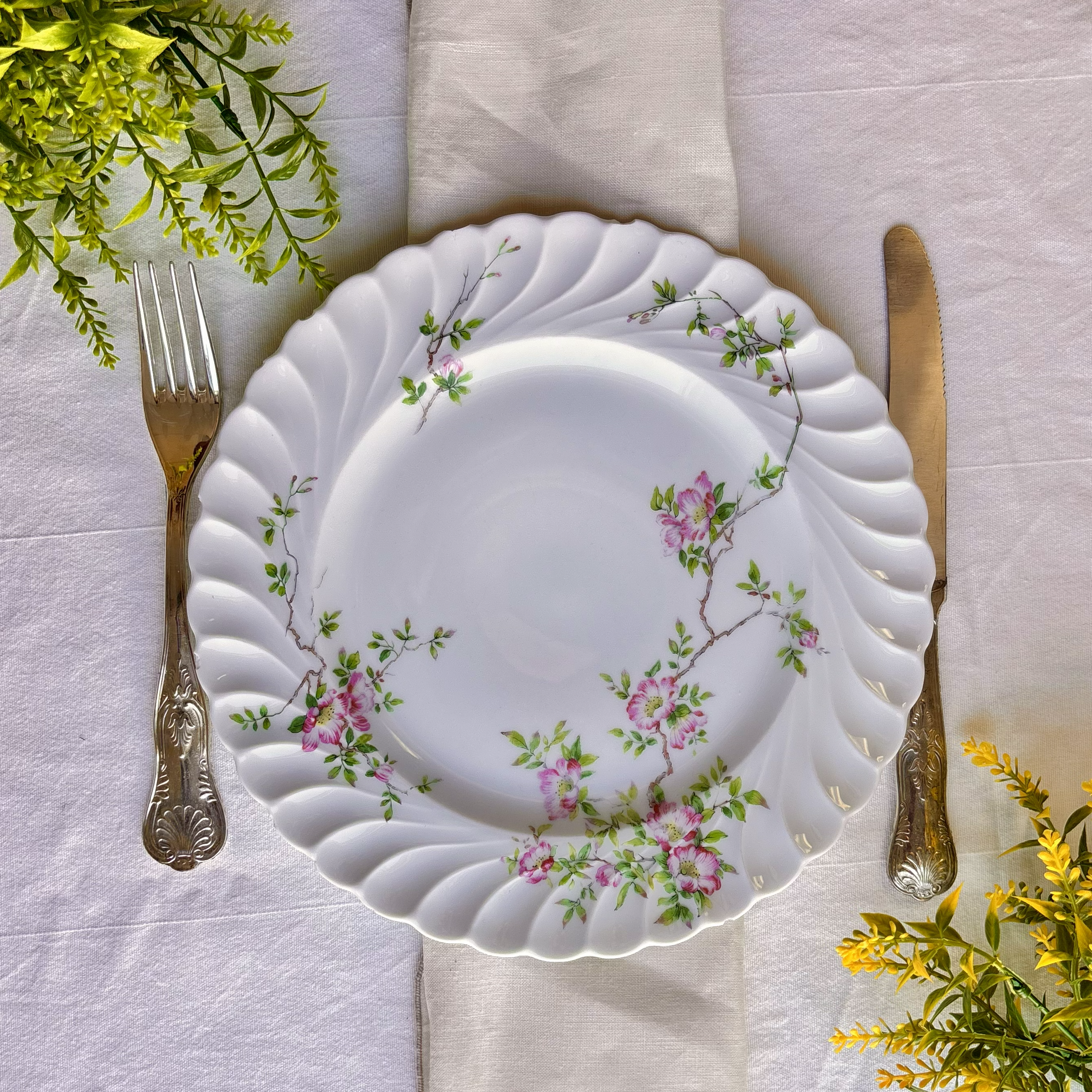 Dinner Plates