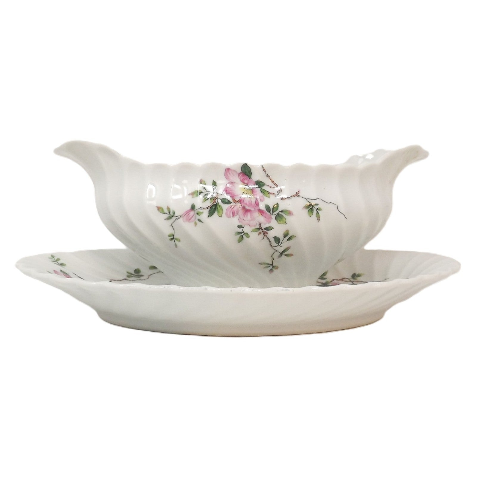 Saucière et sa soucoupe – Eglantine - France