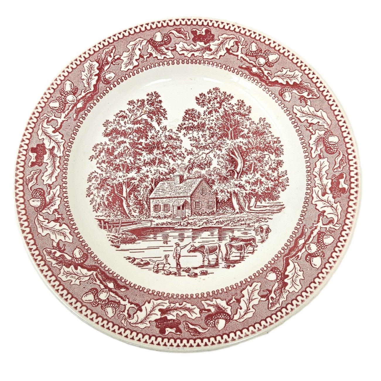 Assiette à dîner - Memory Lane Pink - États-Unis